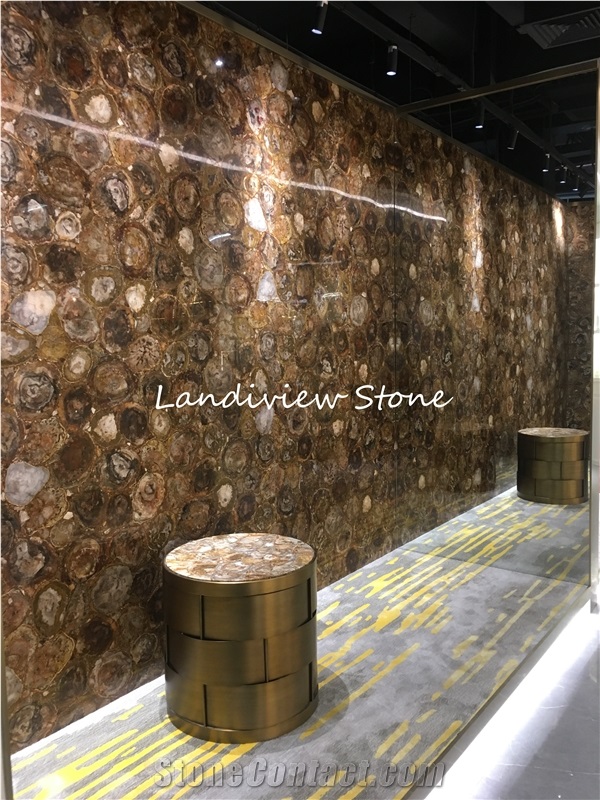 Petrified Wood Semiprecious Stone Slabs