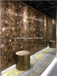 Petrified Wood Semiprecious Stone Slabs