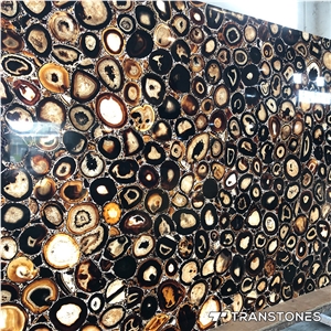 Translucent Brown Agate Shower Wall Panel