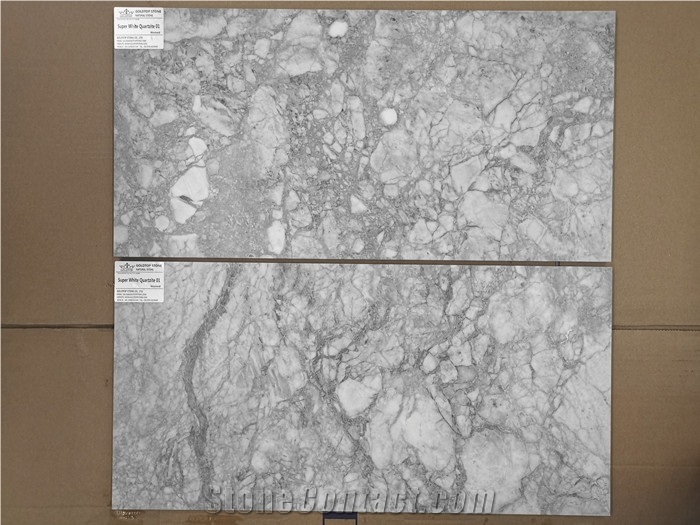 Super White Quartzite Grey Slabs or Tiles Covering