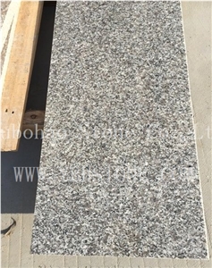 G623/Haicang White/China Cheap Granite Step/Stair