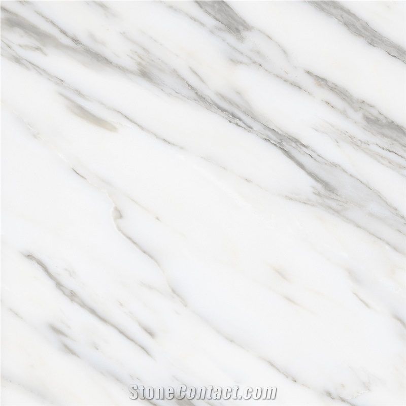 Marble Looks Ceramic Finished Large Slab Tile 1200 X 1200 mm