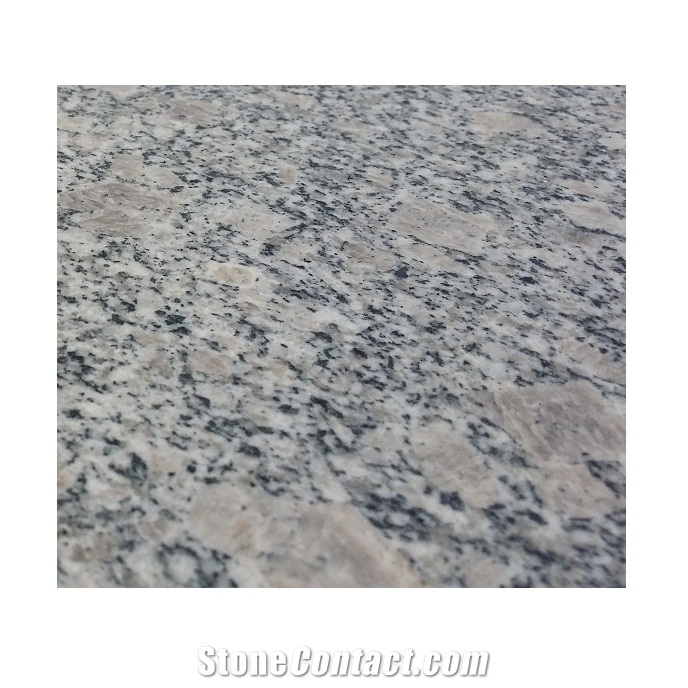 Polished Jade White Granite Tiles