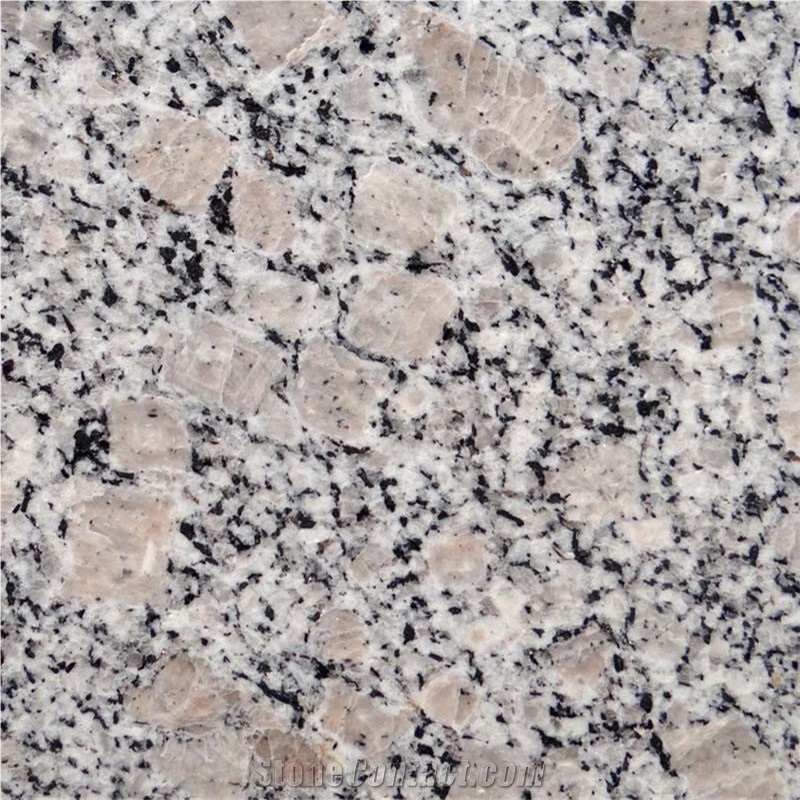 Polished Jade White Granite Tiles