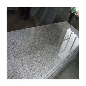 Polished Paradies Blume Granite Tiles