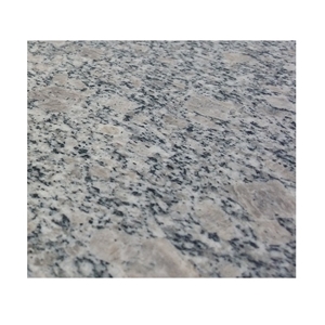 Polished Paradies Blume Granite Tiles