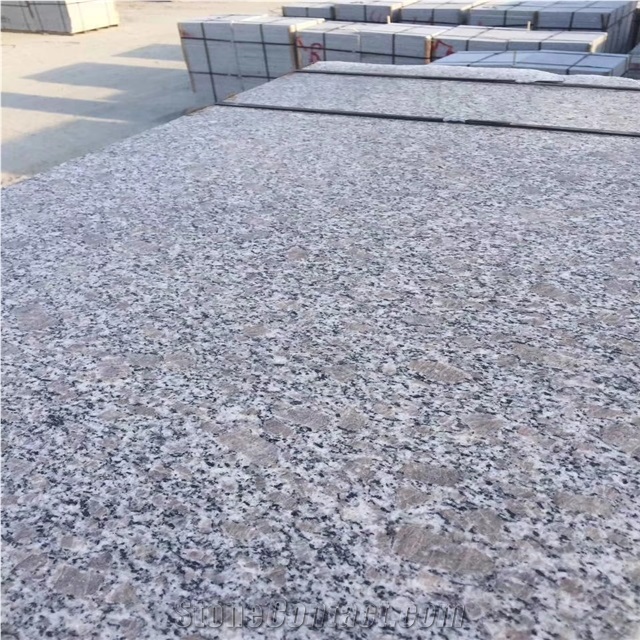 Polished Paradies Blume Granite Tiles