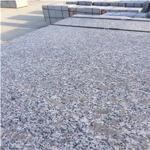 Polished Paradies Blume Granite Tiles