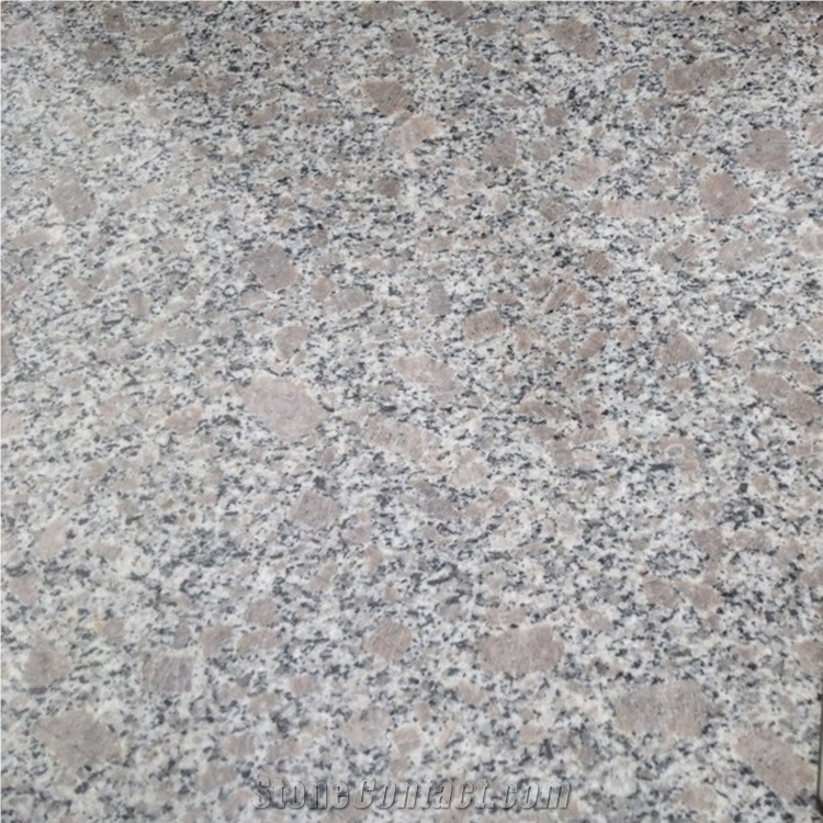 Polished Zhaoyuan Pearl Granite Tiles