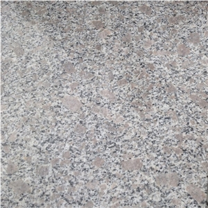 Polished Zhaoyuan Pearl Granite Tiles