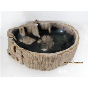 Petrified Wood Sink, Fossil Wood Sink, Basins