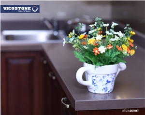 Quartz Countertop Vicostone Bs124 Satinet