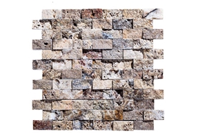 Gold Scabas Scabosa Silver Noche Split Mosaic