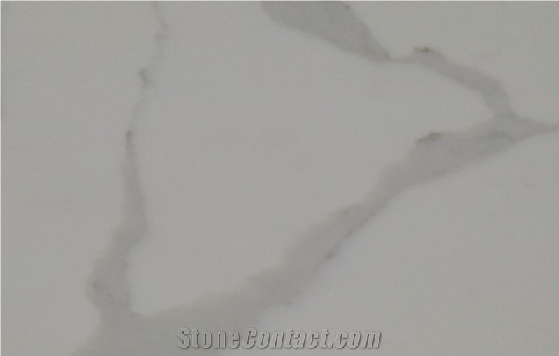 Calacatta Fish Belly White Quartz Stone Slabs