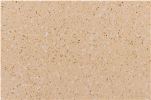 Classic Monochrome Quartz Slab