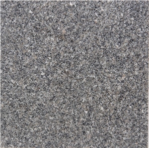 Grey Aswan Granite Tiles & Slabs Grey Aswan Granite Tiles & Slabs