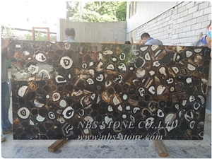 Backlit Black Agate Translucent Luxury Gemstone