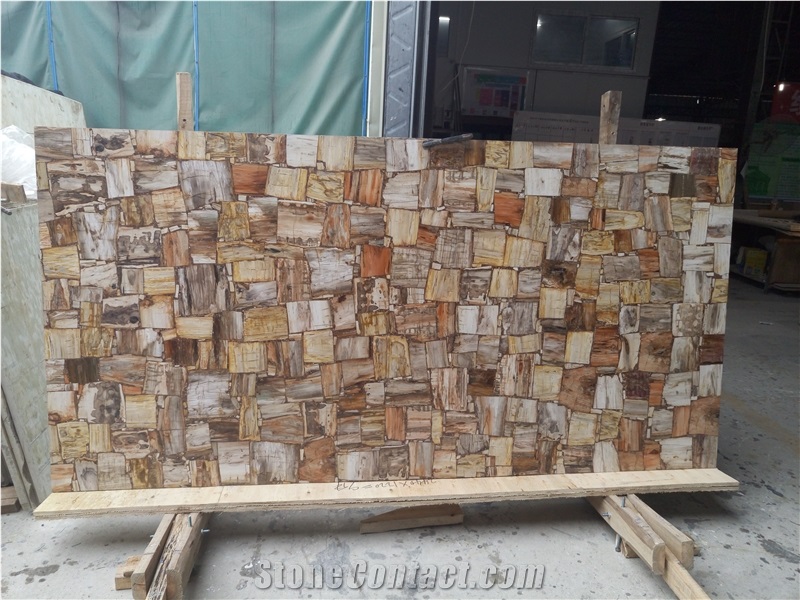 Natural Fossil Petrified Wood Slab Luxury Slab