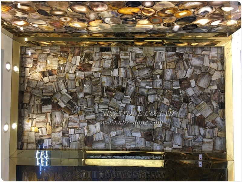 Natural Fossil Petrified Wood Slab Luxury Slab