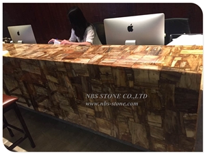 Natural Fossil Petrified Wood Slab Luxury Slab