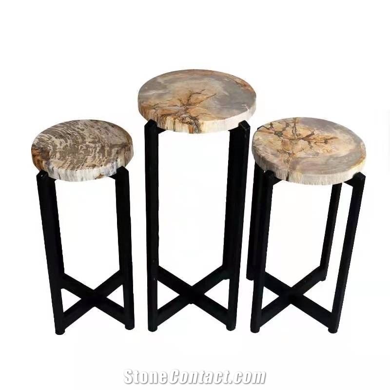 Natural Petrified Wood Stone Table Tops