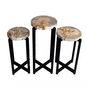Natural Petrified Wood Stone Table Tops