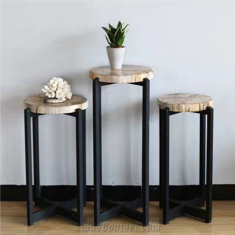 Natural Petrified Wood Stone Table Tops
