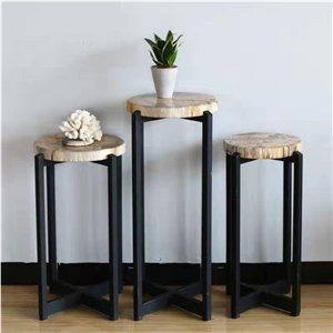 Natural Petrified Wood Stone Table Tops