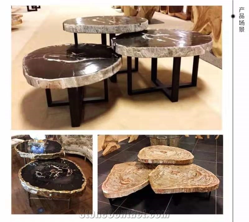 Natural Petrified Wood Stone Table Tops