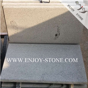 Sawn Hainan Bluestone with Catpaws Bullnose Coping