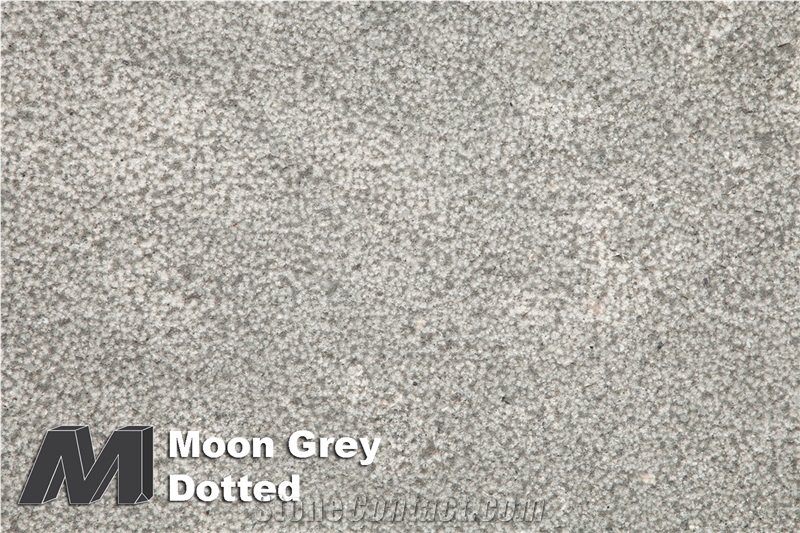 Moon Grey Dotted Limestone Tiles & Slabs