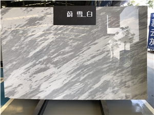 Arabescato Corchia Marble Slab for Home Wall Floor