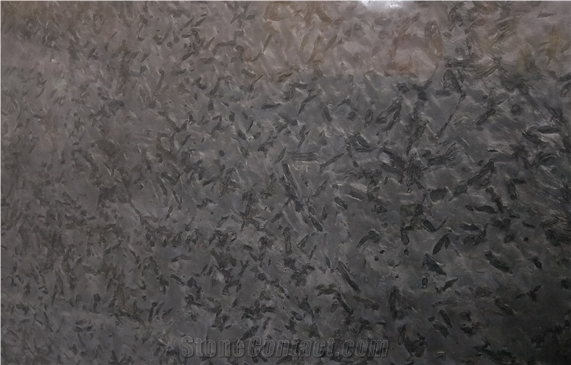 Brazil Versace Black Granite Slabs Tiles for Floor