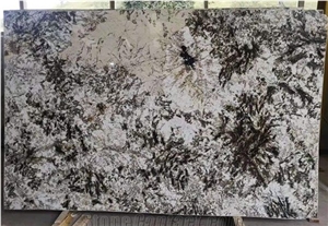 Brazil Blanco Portiguar White Granite Tiles & Slab