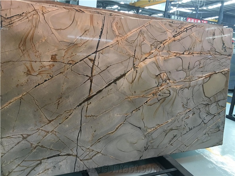 Brazil Blue Roma Quartzite Walling Tiles&Slabs