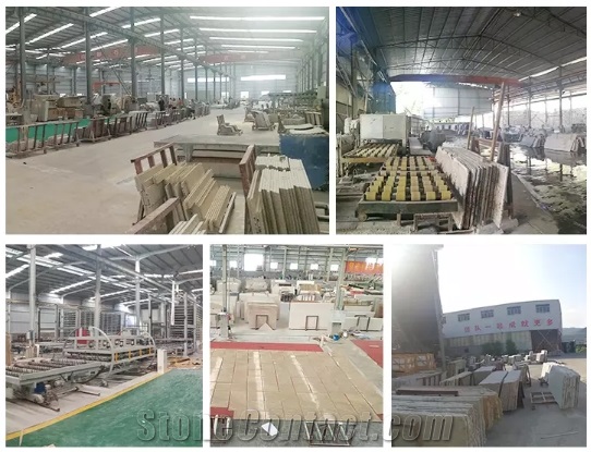 Calacatta Gold, Delicato, Vagli, Vena, Armi Marble
