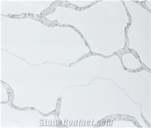 Calacatta Nuvo White Quartz Slabs Kitchen Floor