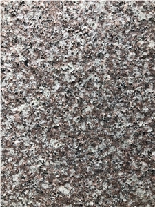 Cheap Polished Misty Brown G664 Luoyuan Red
