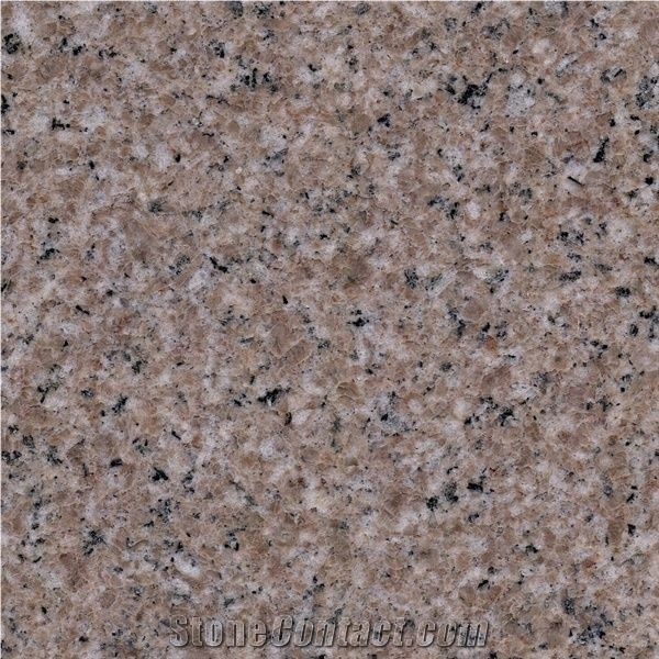 China Xiared G681 Granite,Slabs&Tiles