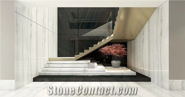 Classic White, Elegant White Marble Slab for Hotel