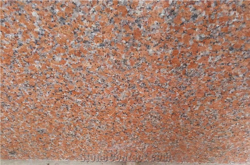 G562 Chinese Maple Red Granite Stairs & Steps