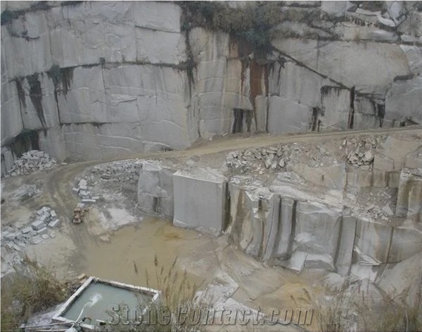 G623 Bianco Sardo Granite Tiles Slabs,Grey Polish