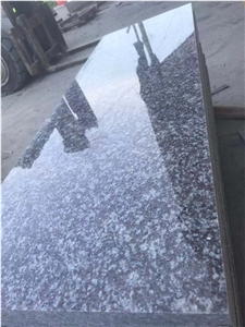 Chinese G664 Granite Polished Slab & Tile Slabs