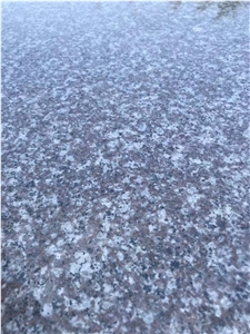Chinese G664 Granite Polished Slab & Tile Slabs