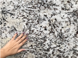Alps White Granite Slabs, Brazil White Granite