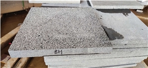 Bluestone Crazy Paver, Bush Hammered Surface