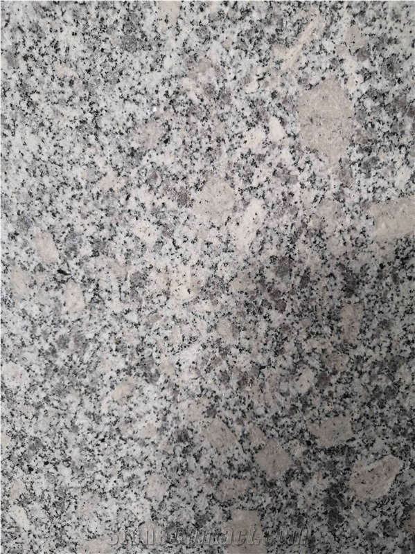 G341 Light Grey Honed Paver