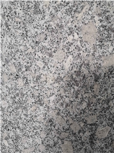 G341 Light Grey Honed Paver G341 Light Grey Honed Paver