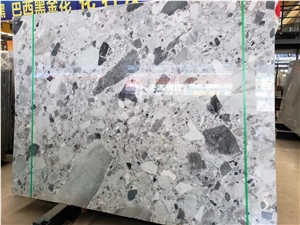 Natural Terrazzo Fossil Marble Polished Slab