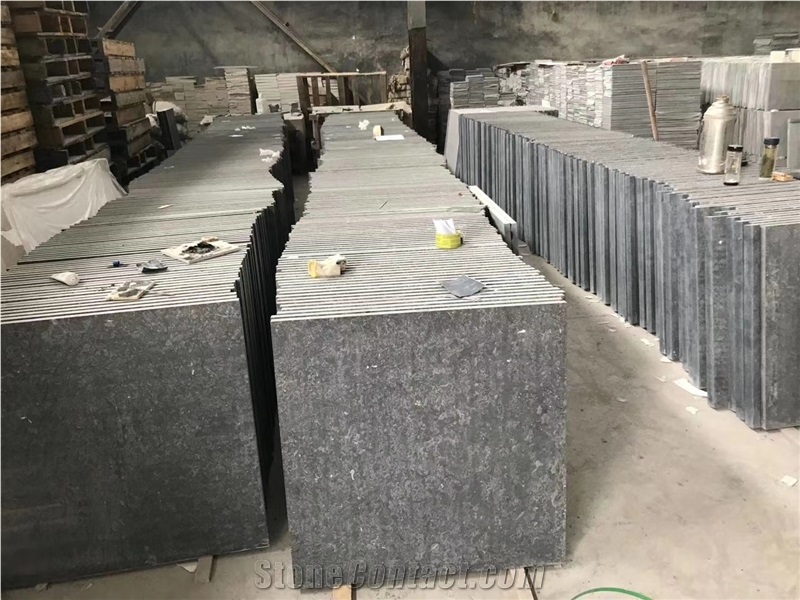 Black Fossil Limestone Tile